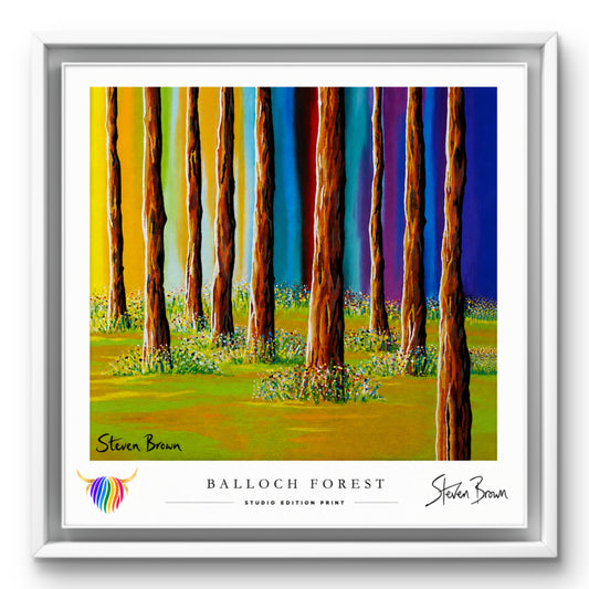 Balloch Forest - Studio Edition Print