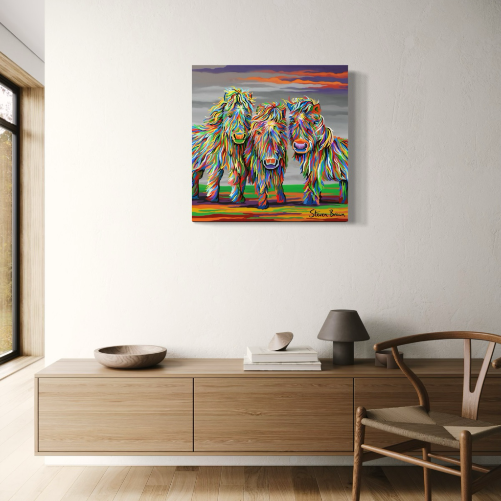 Wee Shetlands - Stretched Canvas Print