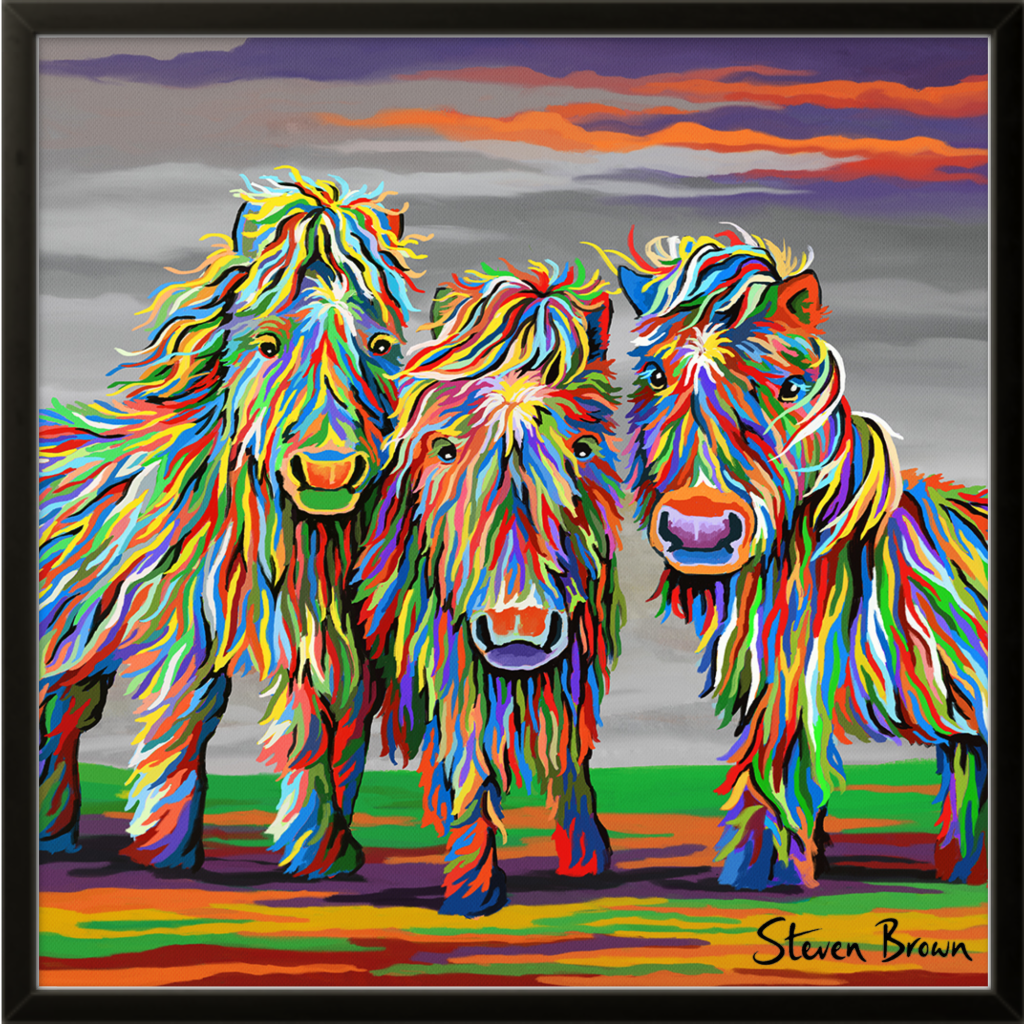 Wee Shetlands - Studio Edition Print