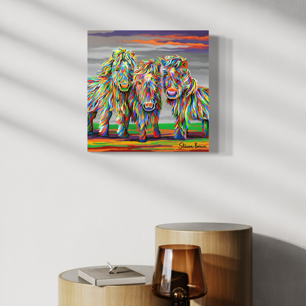 Wee Shetlands - Stretched Canvas Print