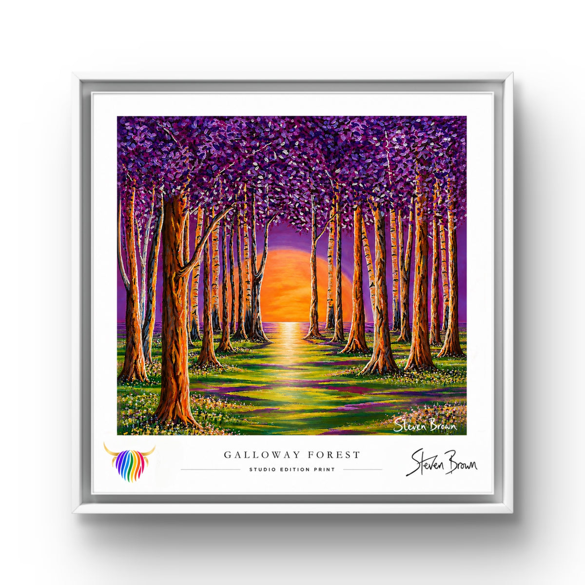 Galloway Forest - Studio Edition Print