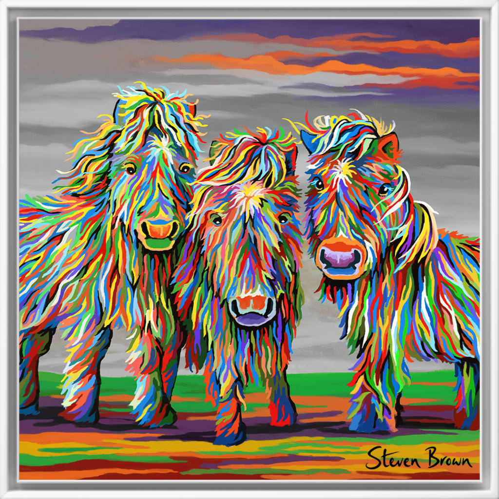 Wee Shetlands - Studio Edition Print