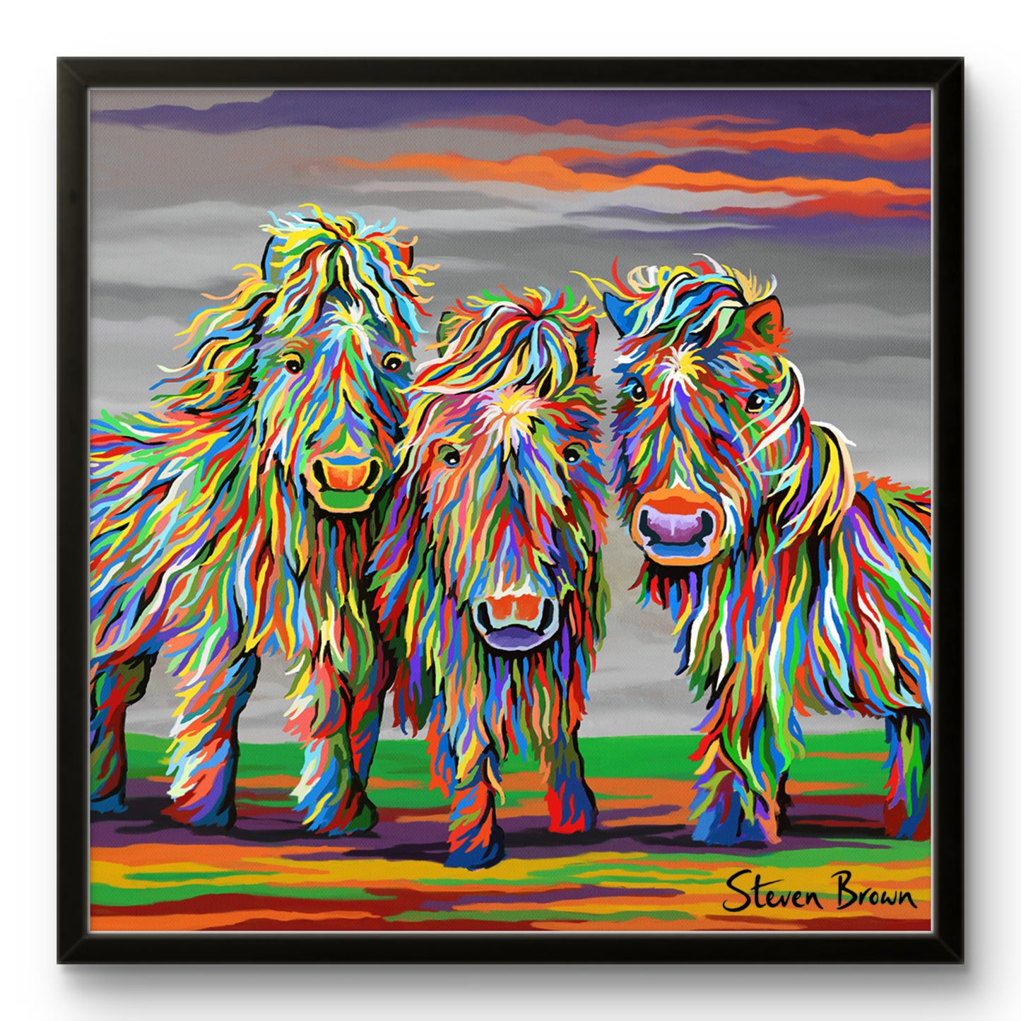 Wee Shetlands - Studio Edition Print