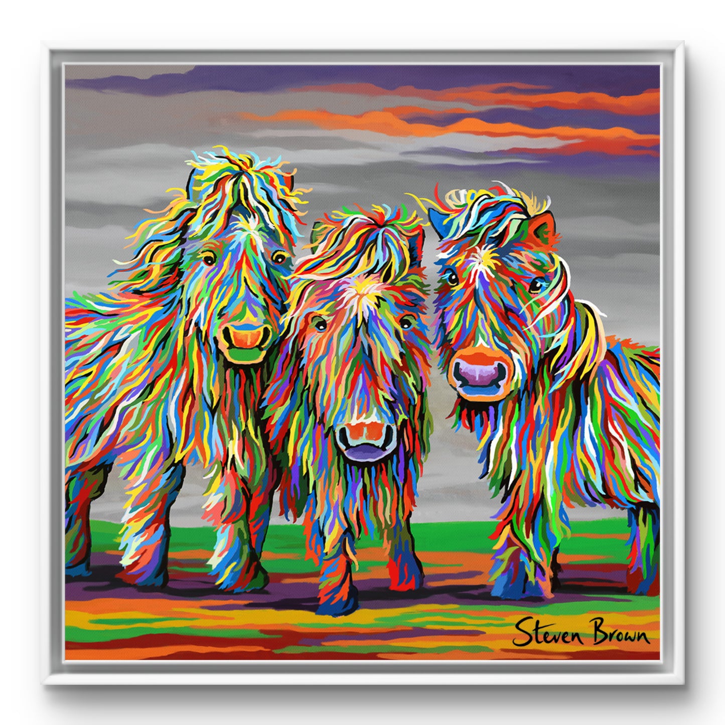 Wee Shetlands - Studio Edition Print