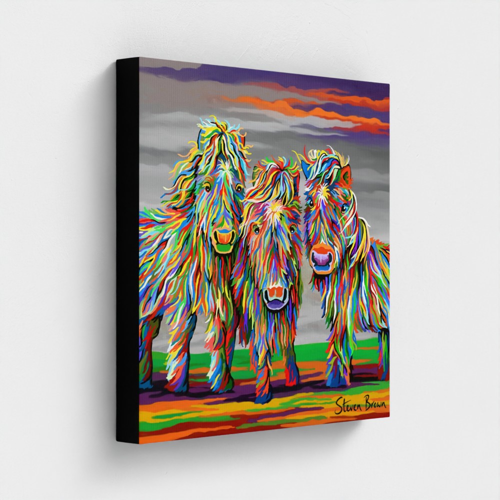 Wee Shetlands - Stretched Canvas Print